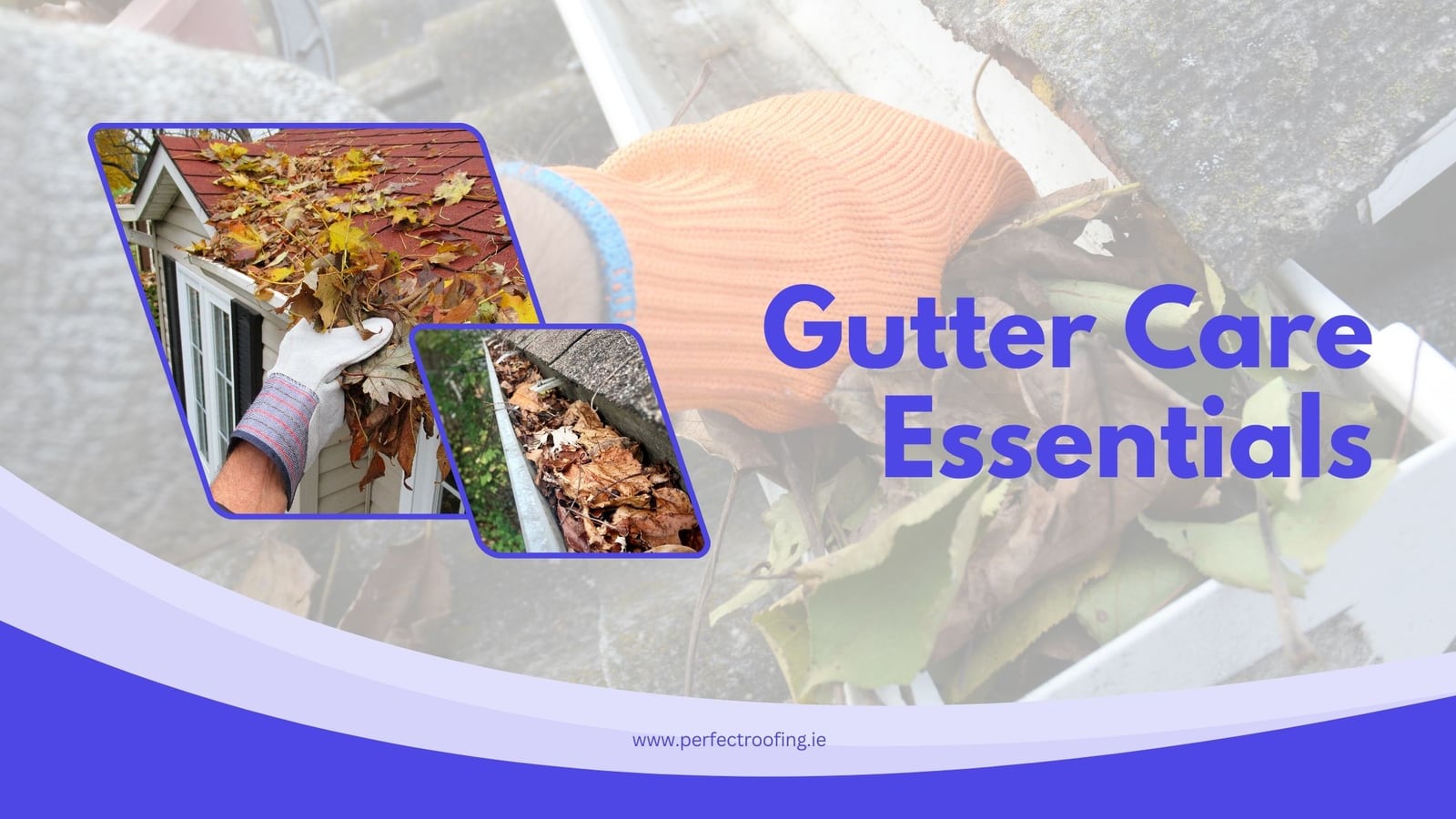 Gutter Cleaning and Maintenance Guide