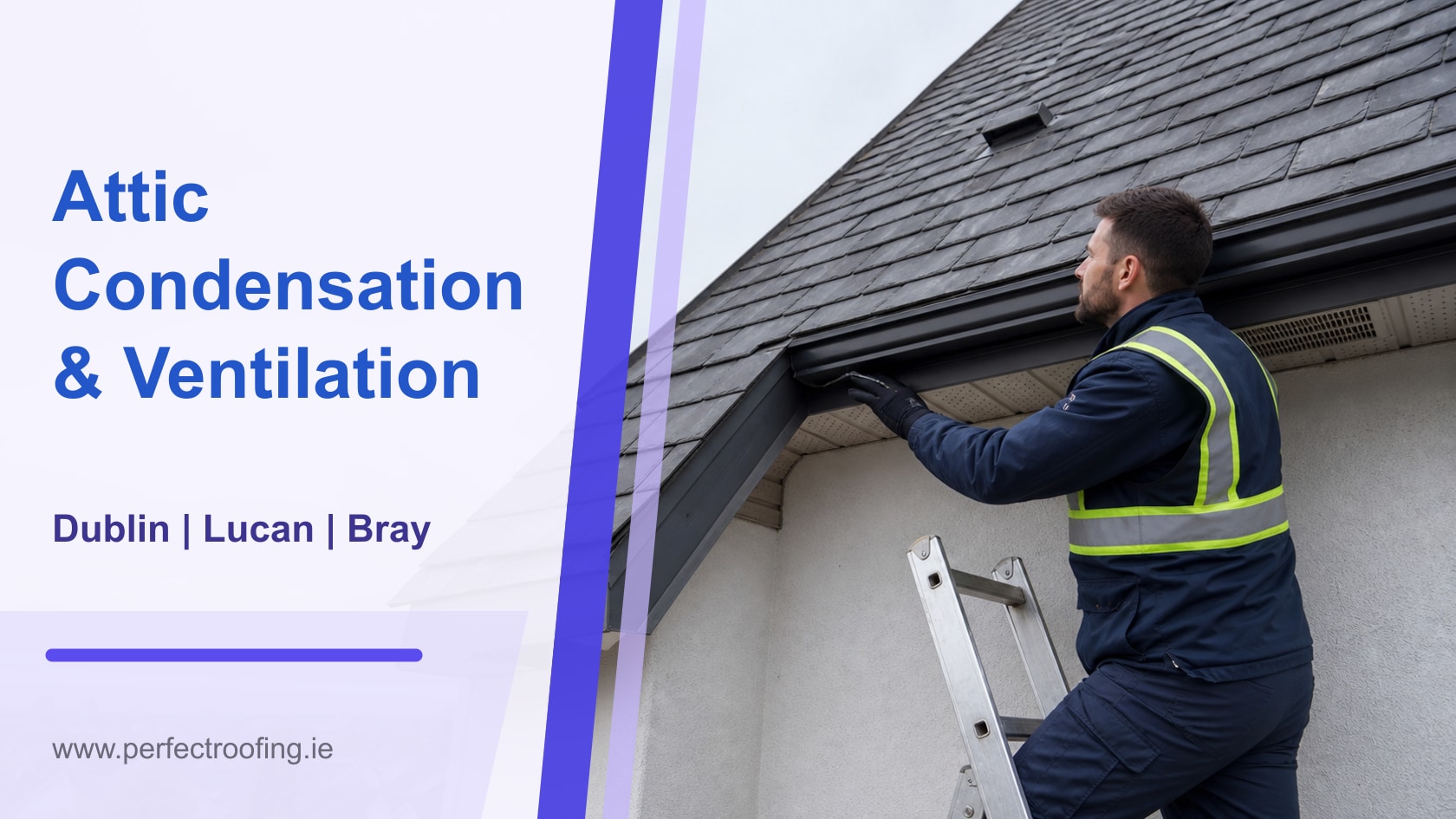 Attic Condensation and Roof Ventilation Checks for Dublin, Lucan, and Bray Homes