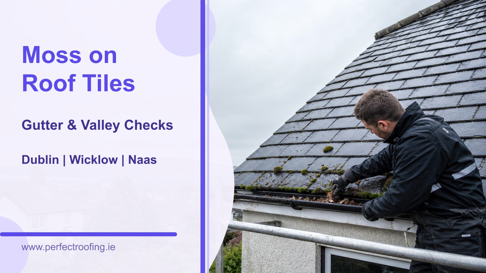 Moss on Roof Tiles and Gutters: Checks for Dublin and Wicklow Homes