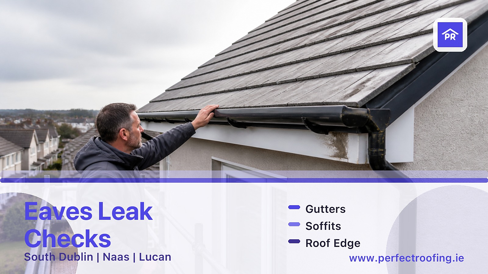 Eaves Roof Leak Checks for South Dublin and Naas Homes