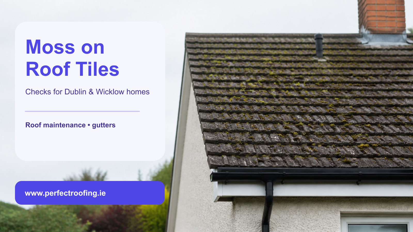 Moss on Roof Tiles: Checks for Dublin and Wicklow Homes