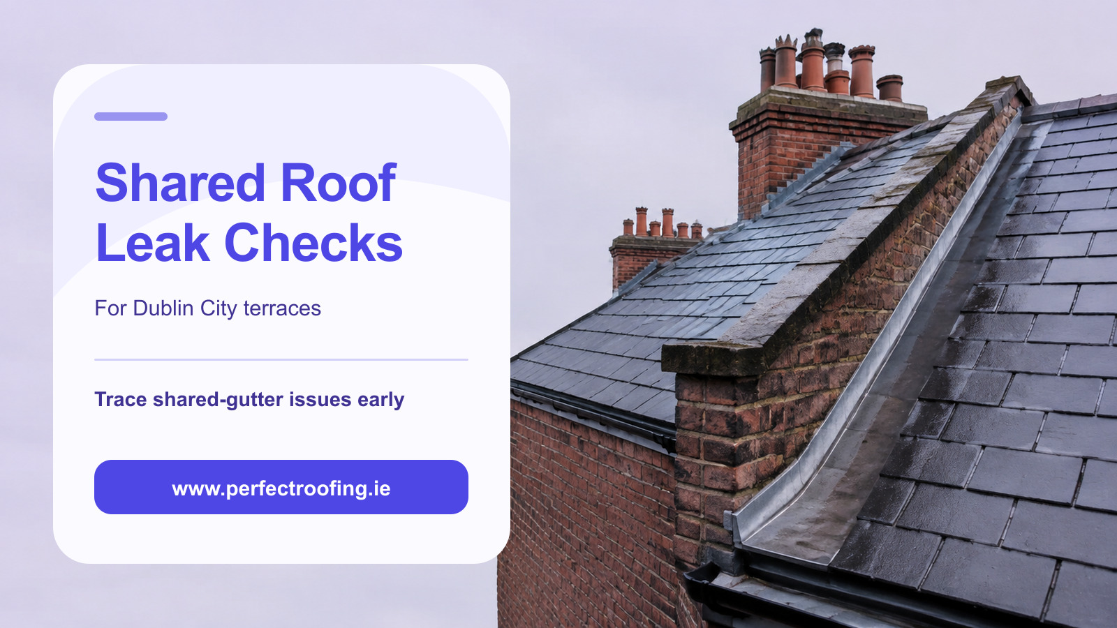 Shared Gutter and Party-Wall Roof Leak Checks for Dublin City Terraces
